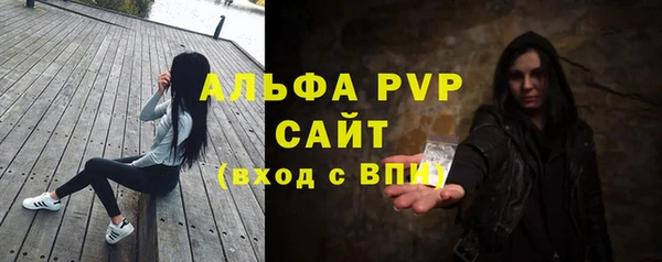 СК Абинск