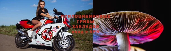 СК Абинск