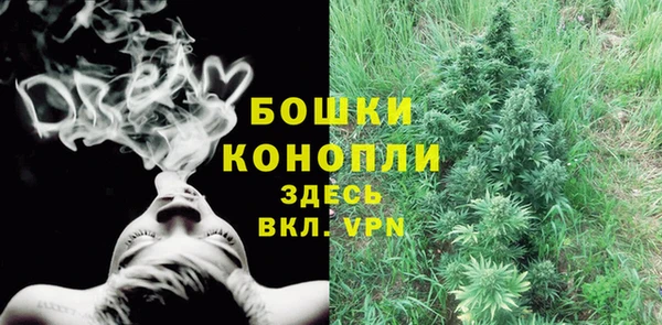 МДПВ Семёнов