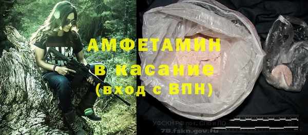 прущие грибы Семикаракорск