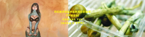 СК Абинск