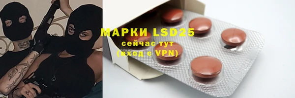 спайс Алзамай