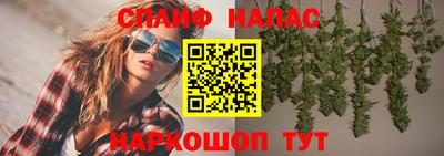 стаф Анапа