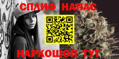 стаф Анапа