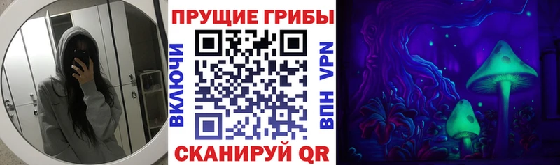 Галлюциногенные грибы прущие грибы  Тихорецк 